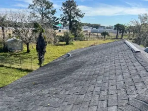 What Causes Roof Shingle Discoloration?